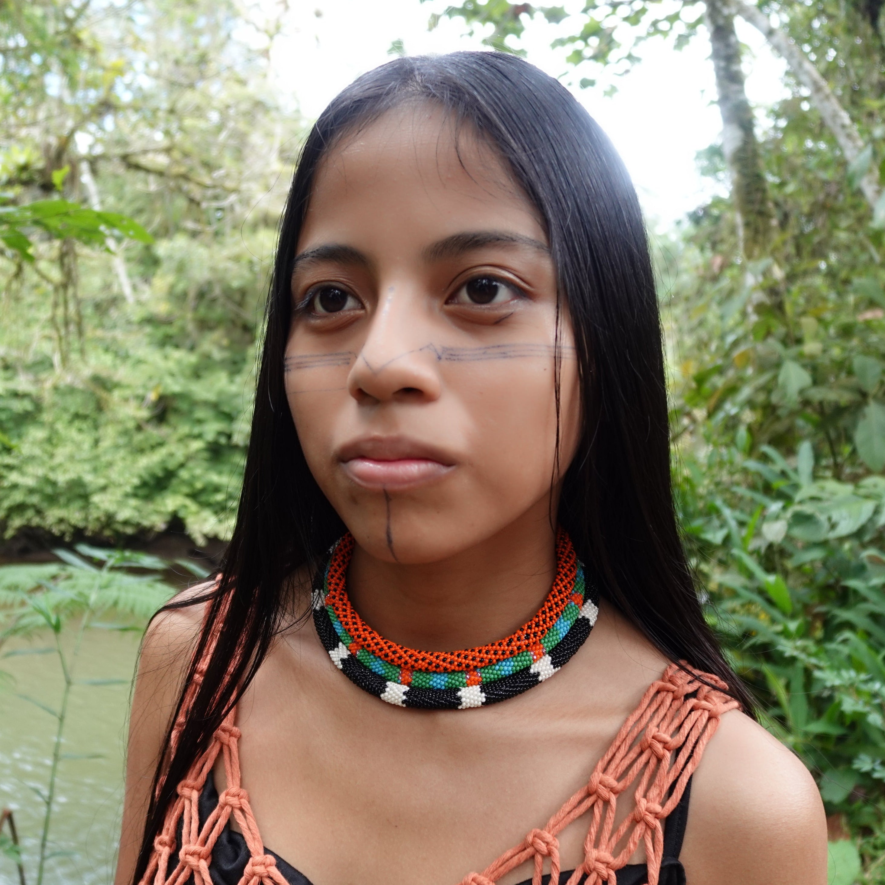 Collar Kaina - Falsa ratonera (Drepanoides anomalus)