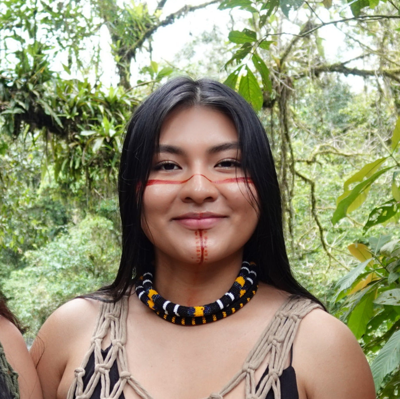 Collar Sisa - Coral de Hemprichii (Micrurus hemprichii)