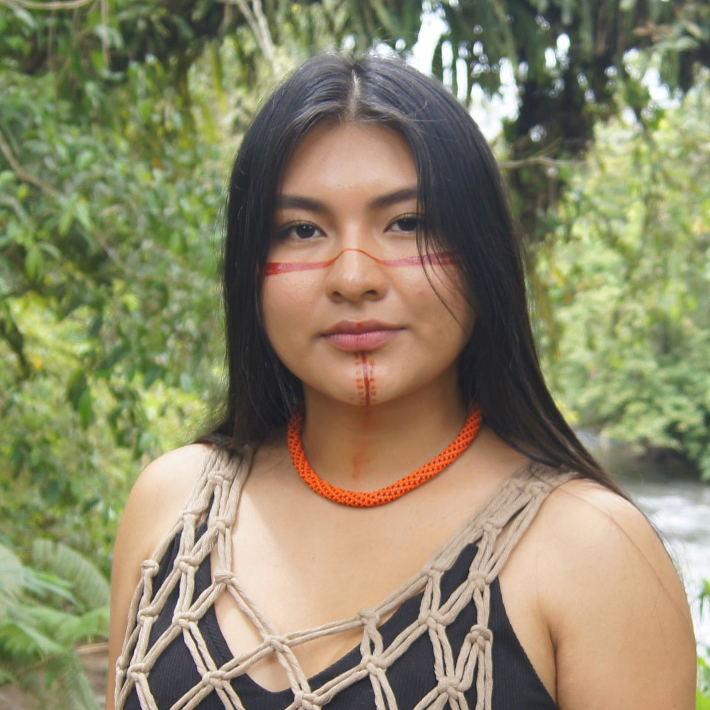 Collar Kaina - Falsa ratonera (Drepanoides anomalus)