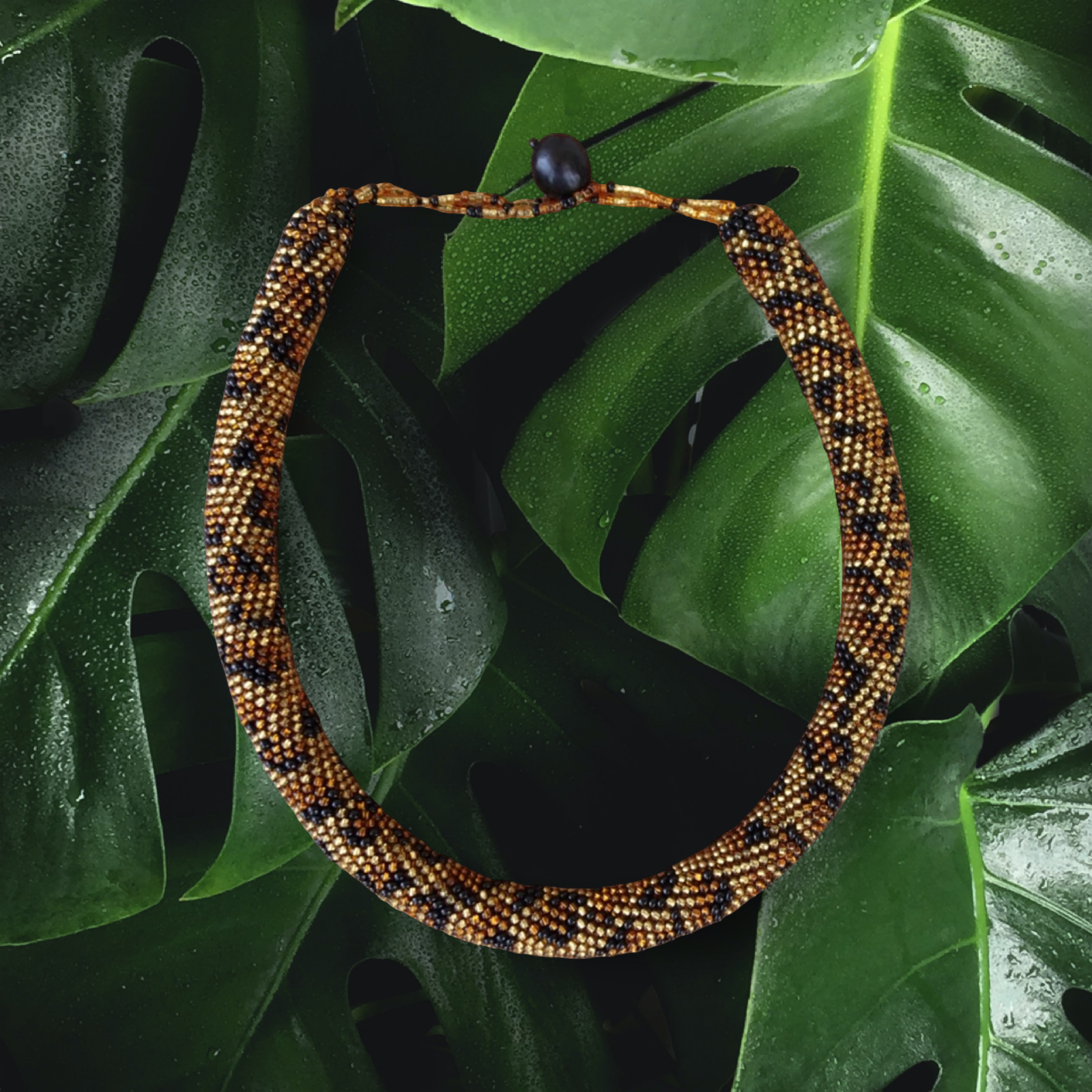 Collar Sisa - Jaguar (Panthera onca)