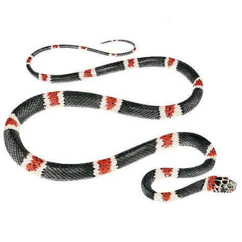 Sisa Necklace - Amazon Banded Snake