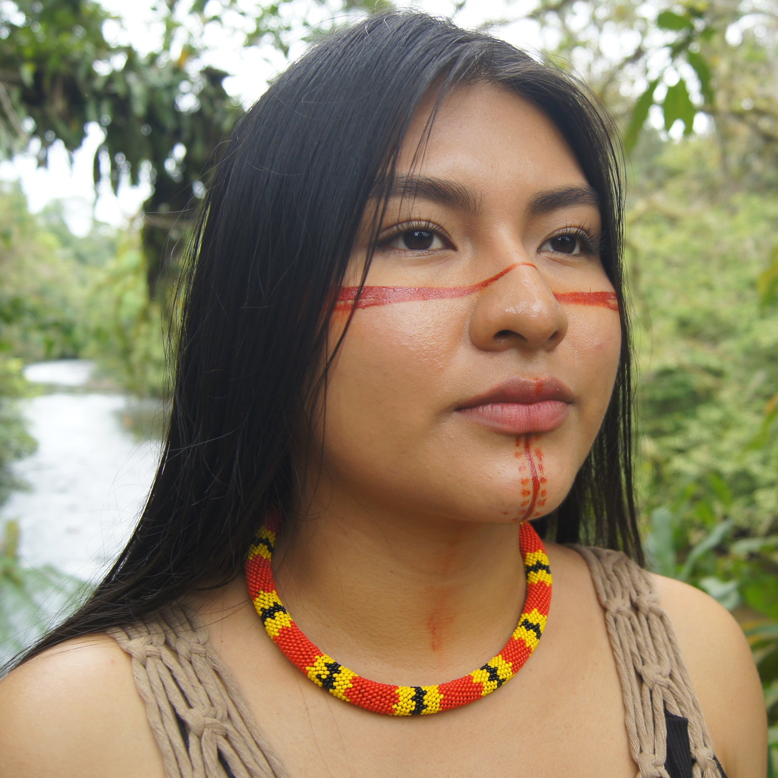 Sisa Necklace - Langsdorff’s coral snake (Micrurus langsdorffi)