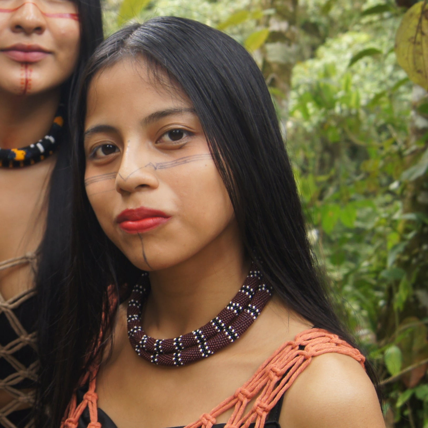 Collar Sisa - Coral Ornamentada (Micrurus ornatissimus)
