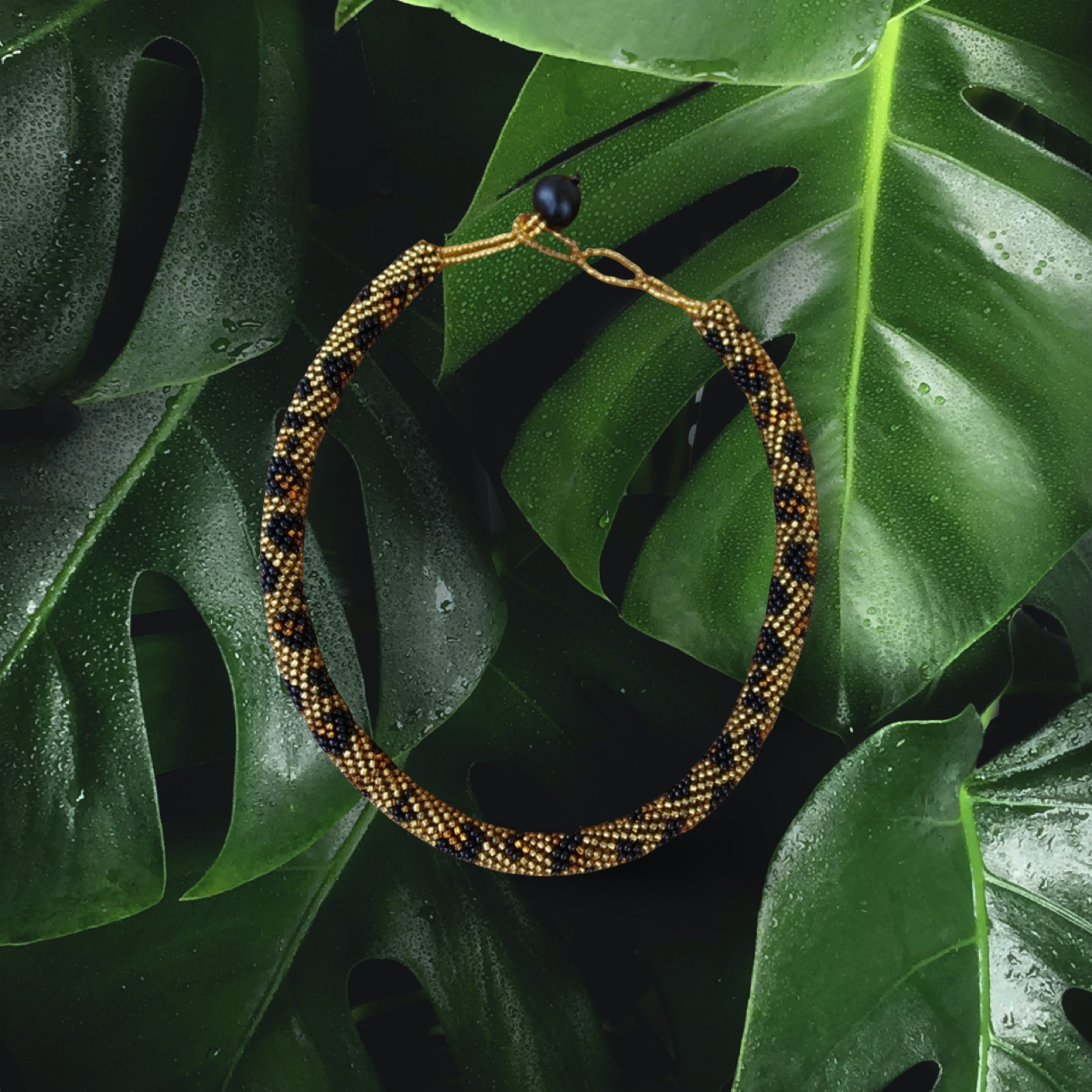 Collar Kaina - Jaguar (Panthera onca)
