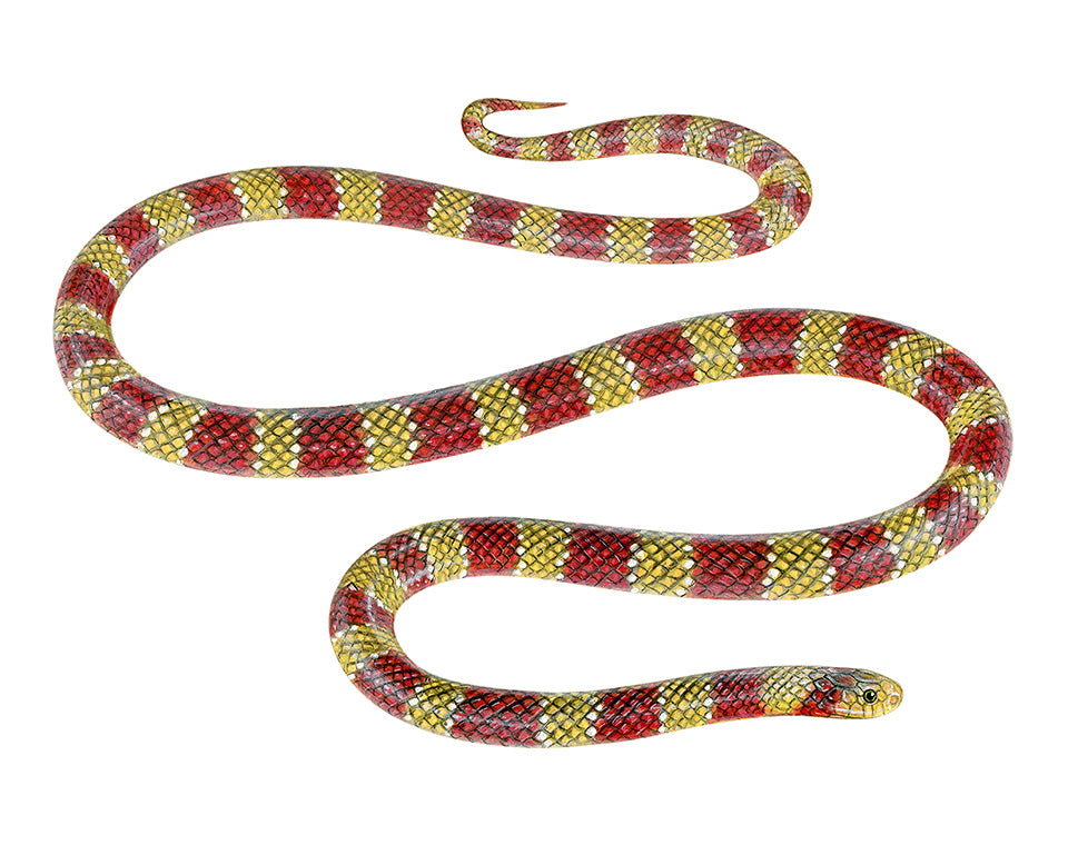 Sisa Necklace - Langsdorff’s coral snake (Micrurus langsdorffi)